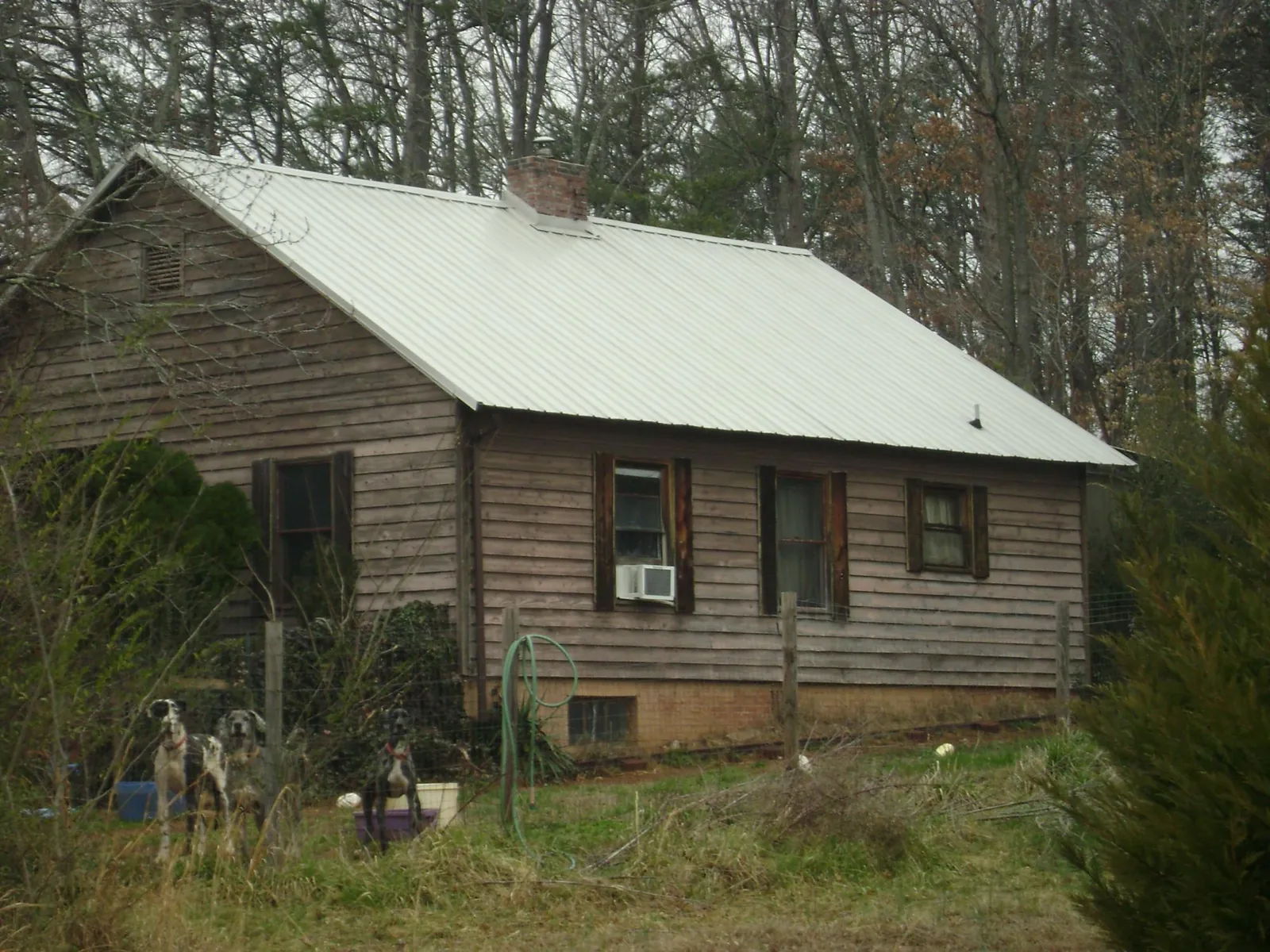 White metal roof on an old wood sided farmhouse, from a Asphalt Shingle Roof Repair job in Echo